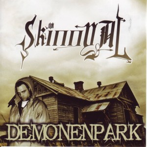 Listen to Zug ist abgefahren song with lyrics from Skinny