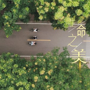 Listen to 生命之美 (完整版) song with lyrics from 潇敏