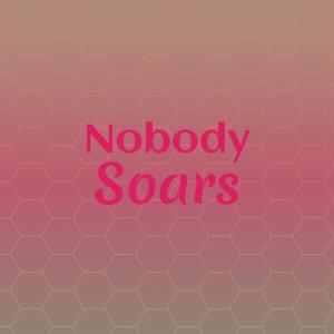 Listen to Nobody Soars song with lyrics from Mils Maano