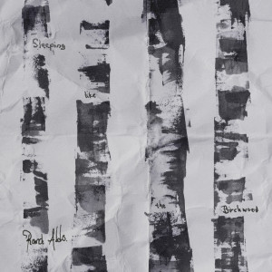 收听Rand Aldo的Sleeping like the Birchwood歌词歌曲