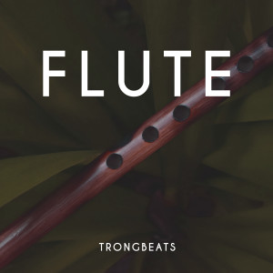 Listen to Flute song with lyrics from TRONGBEATS