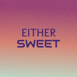 Various的专辑Either Sweet