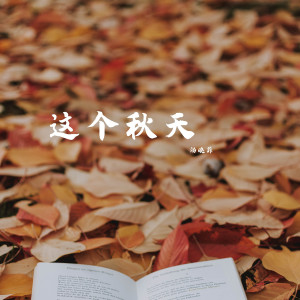 Dengarkan lagu 这个秋天 (完整版) nyanyian 汤晓菲 dengan lirik