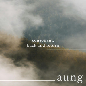 อัลบัม consonant, back and return ศิลปิน Aung