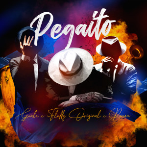 Album Pegaito from 