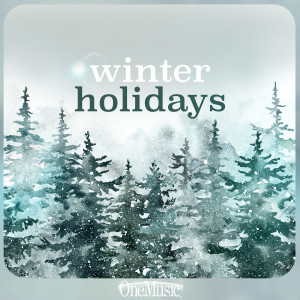 John Hunter, Jr.的专辑Winter Holidays (Edited)
