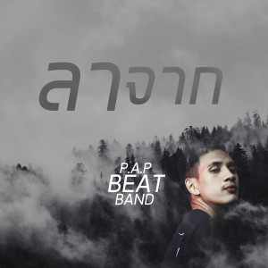 Album ลาจาก (2) oleh RachYO