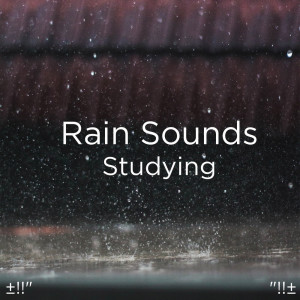 收聽Rain Sounds的Sons Anti-Stress歌詞歌曲