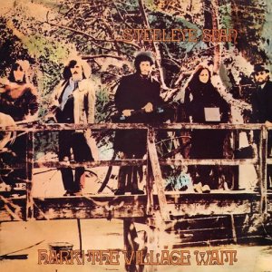 ดาวน์โหลดและฟังเพลง A Calling-On Song พร้อมเนื้อเพลงจาก Steeleye Span
