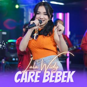 Dengarkan Care Bebek lagu dari Lala Widy dengan lirik