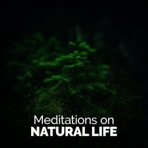 Meditations on Natural Life