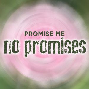 Album Promise Me No Promises from The Cameron Collective