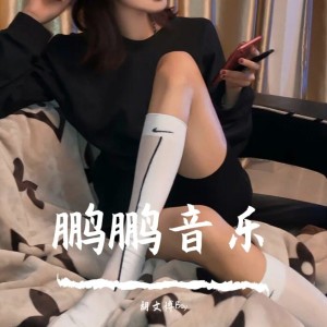 Listen to 英雄泪 song with lyrics from 胡文博BOY