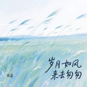Album 岁月如风来去匆匆 from 