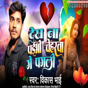 收聽Vikash Bhai的Dekh Na Paibhi Cheharva Ge Pagali歌詞歌曲