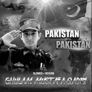 Album Pakistan Pakistan (Lofi-Mix) from 