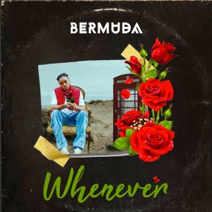 Album Whenever from Bermuda