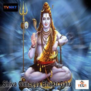 Dengarkan Om Namo lagu dari Puttur Narisamha Naik dengan lirik