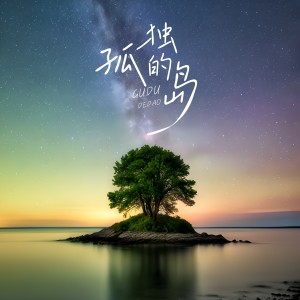 Album 孤独的岛 from 李妮达