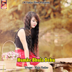 ดาวน์โหลดและฟังเพลง Humke Bhula Debu พร้อมเนื้อเพลงจาก Raja Yadav