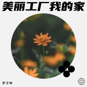 罗子坤的专辑美丽工厂我的家