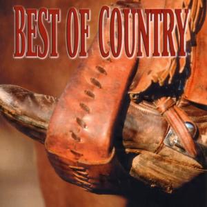 Country Mix Series的專輯Best of Country