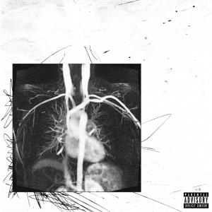 ดาวน์โหลดและฟังเพลง RIDE OR DIE (feat. soyishay) (Explicit) พร้อมเนื้อเพลงจาก Jthasensei