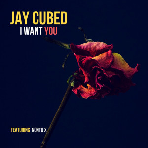 ดาวน์โหลดและฟังเพลง I Want You พร้อมเนื้อเพลงจาก Jay Cubed