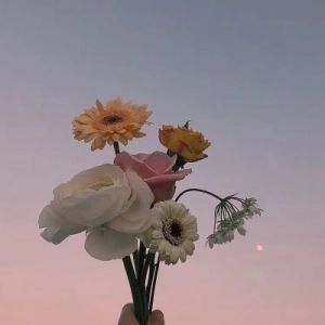 收听梦小羿的成星 (DJ版)歌词歌曲