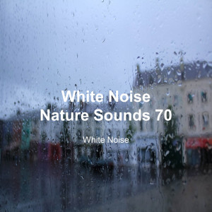 อัลบัม White Noise 70 (Rain Sounds, Bonfire Sound, Baby Sleep, Deep Sleep) ศิลปิน White Noise