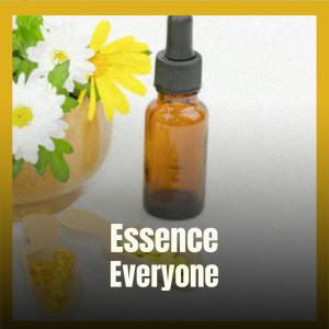 Various的专辑Essence Everyone