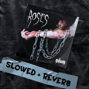 อัลบัม Roses (Slowed + Reverb) ศิลปิน Nilum