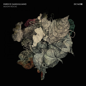 ดาวน์โหลดและฟังเพลง Moon Rocks พร้อมเนื้อเพลงจาก Enrico Sangiuliano