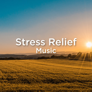 Dengarkan Asmr Water Stream lagu dari Nature Sound Collection dengan lirik