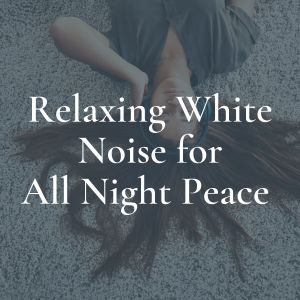 White Noise Baby Sleep的专辑Relaxing White Noise for All Night Peace