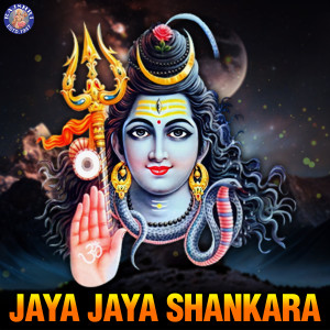 Iwan Fals & Various Artists的专辑Jaya Jaya Shankara