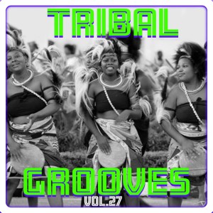 Album Tribal Grooves Vol. 27 from 
