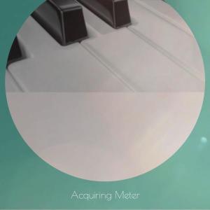 ดาวน์โหลดและฟังเพลง Acquiring Meter พร้อมเนื้อเพลงจาก Lasha Pooll