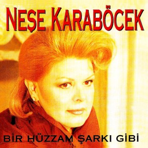 收聽Neşe Karaböcek的Mecbur Değilsin歌詞歌曲