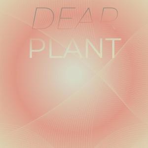 Various Artists的專輯Dear Plant