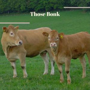 Listen to Those Bonk song with lyrics from Alon Vino