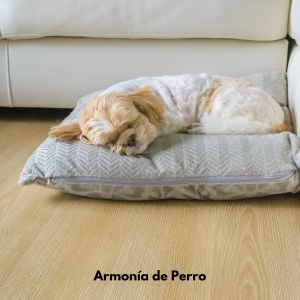 Ansiedad De Los Perros的專輯Armonía de Perro