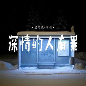 Listen to 深情的人有罪 (DJ西米版伴奏) song with lyrics from 崔兰花
