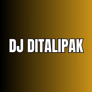 Album Dj Ditalipak oleh Doel Sumbang