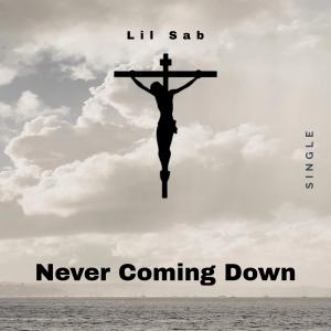 ดาวน์โหลดและฟังเพลง Never Coming Down พร้อมเนื้อเพลงจาก Lil Sab