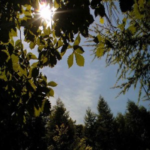 ดาวน์โหลดและฟังเพลง Nature Sound - Mizunami - Plateau01 พร้อมเนื้อเพลงจาก miduno