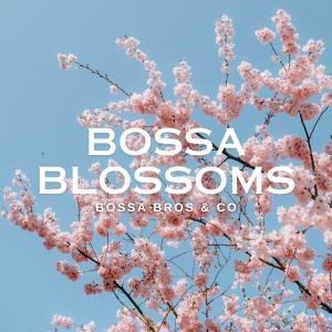 Bossa Bros的專輯Bossa Blossoms