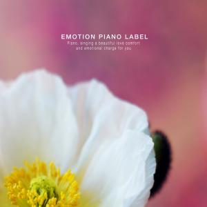 Album A collection of emotional sympathy piano that wipes tears of farewell from Various Artists