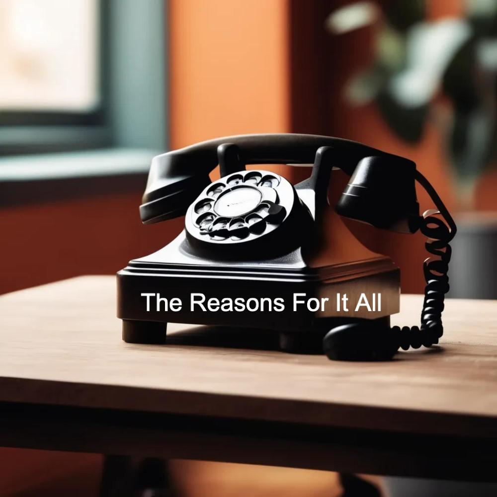 The Reasons For It All (Radio Edit|Explicit)