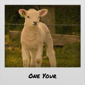 ดาวน์โหลดและฟังเพลง Prosthetic Youngster พร้อมเนื้อเพลงจาก Cawa Dhen